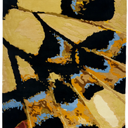 The Swallowtail | Tappeto annodato a mano in lana, seta e tencel