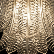 Grande lampadario trasparente in vetro di Murano con 48 vetri soffiati a mano